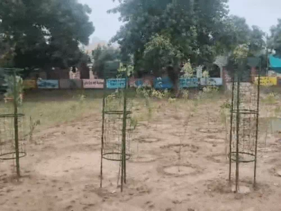 आगरा में पौधरोपण अभियान की हकीकत: मंत्री के पौधों को ट्री-गार्ड लगाकर बचाए, बाकी पानी में डूबे